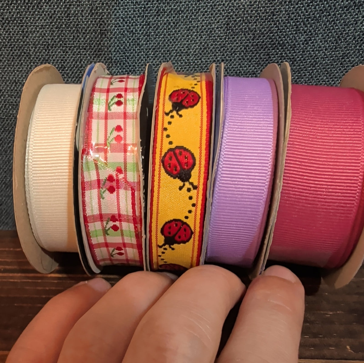 Offray Ribbon Lot 5 Ladybug Cherry Solid Spring Craft Destash