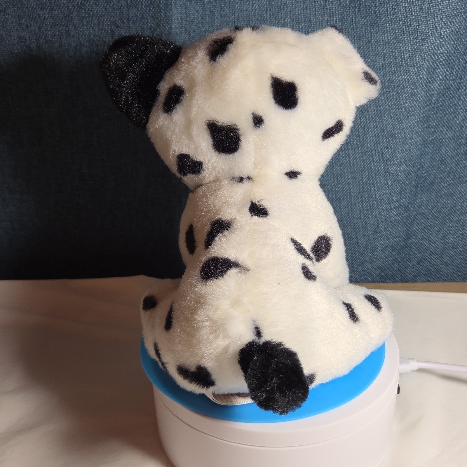 TY Beanie Boos - FETCH the Dalmatian (Solid Eye Color) (6 inch) 2011