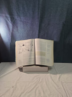 ARCHETYPES OF WISDOM: AN INTRODUCTION TO PHILOSOPHY By Douglas J. Soccio