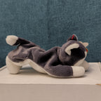 TY Beanie Baby NANOOK Husky Dog 1996 | MWMT Mint Tags | Fareham Hants Star