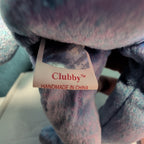 Clubby II Ty Beanie Baby 1999 Retired Official Club Bear MWMT w/ Tag Protector