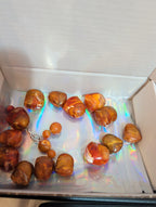 Baroque Tortoise Pre-Drilled Plastic Beads 2oz Boho Craft Lot