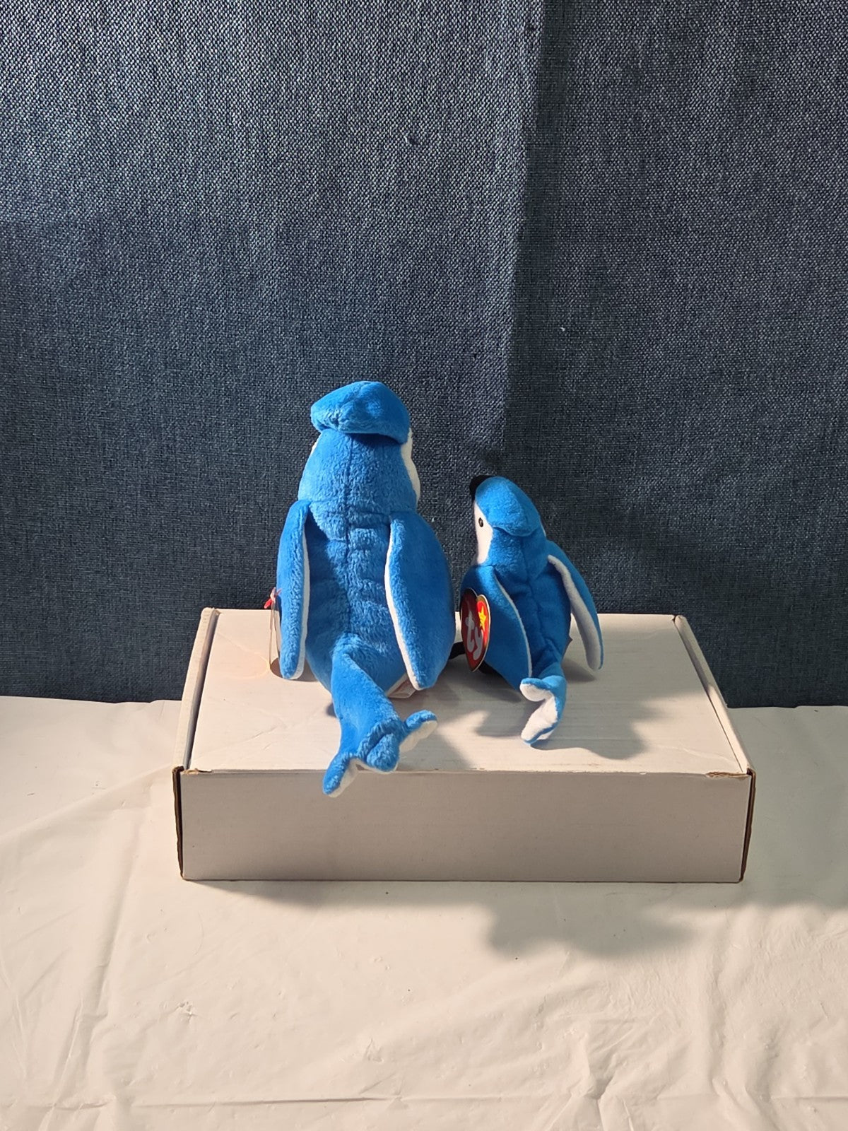Ty Beanie Baby Rocket the Blue Jay Set Standard & Teenie Beanie 1998 NWT Bird
