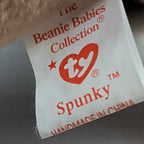 ​Ty Beanie Baby Spunky Cocker Spaniel Dog 1997 Red Star Tag Mint 008421041848