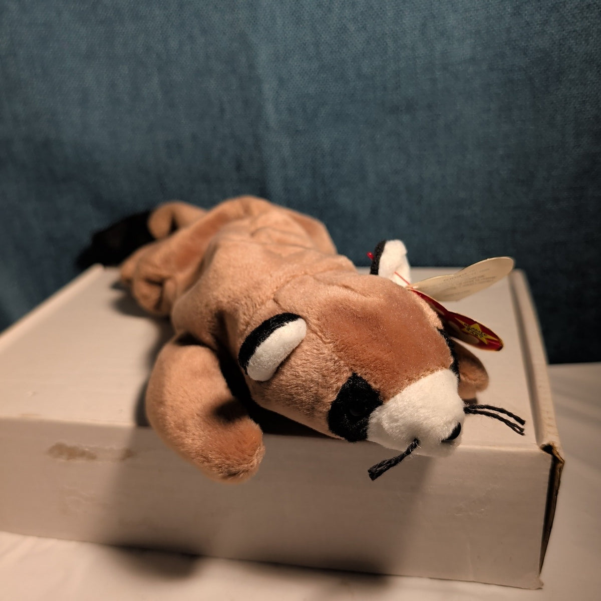 Ty Beanie Baby Ringo - MWMT (Raccoon 1995)
