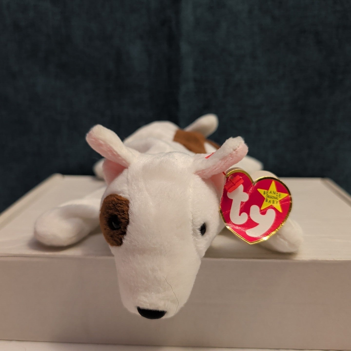 Ty Beanie Baby Butch Bull Terrier Dog 1999 Retired Plush TAG CREASE Clean 4227