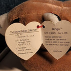 Ty Beanie Baby Ringo - MWMT (Raccoon 1995)