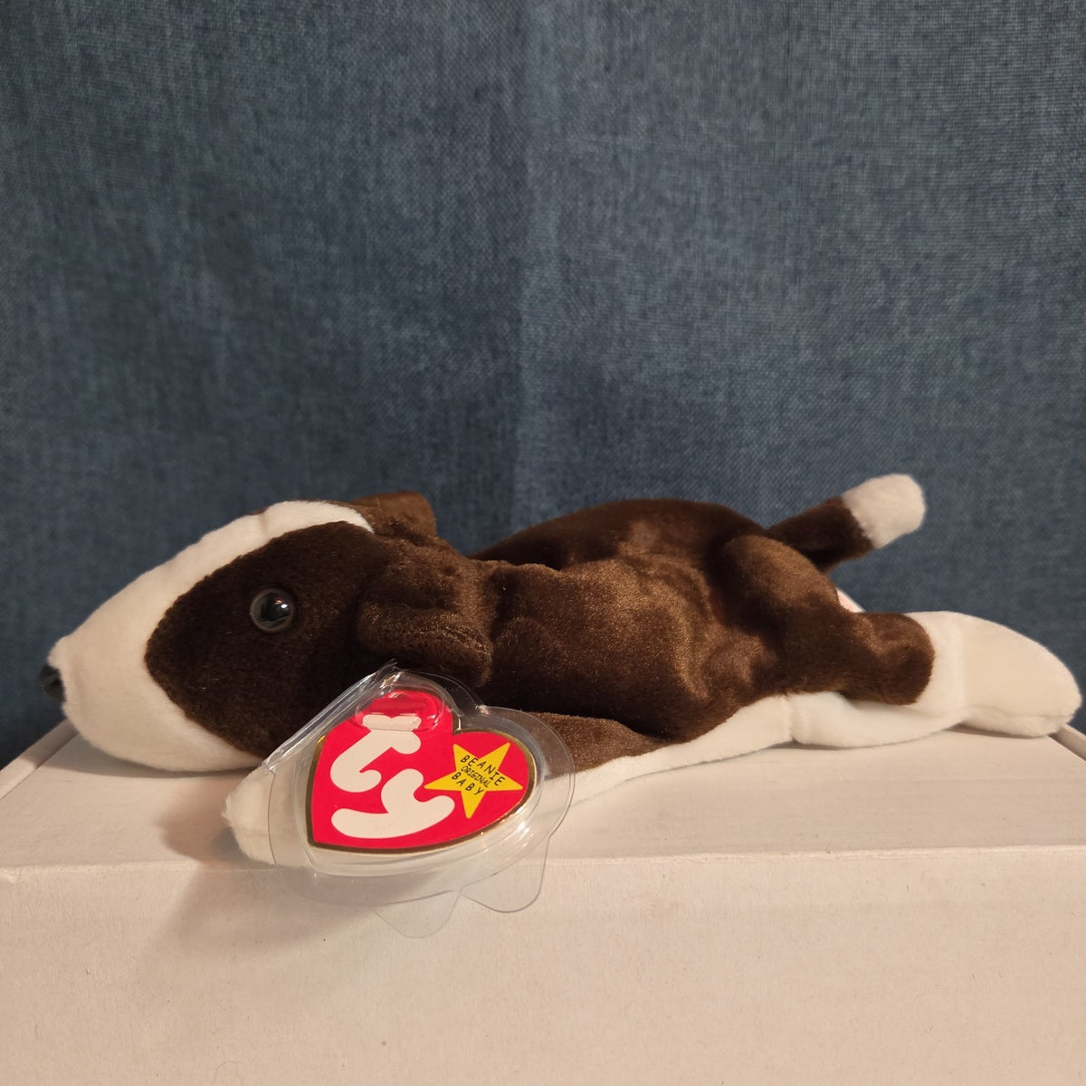 Ty Beanie Baby Bruno Dog Plush Vintage 1997 Bull Terrier Tags Protected