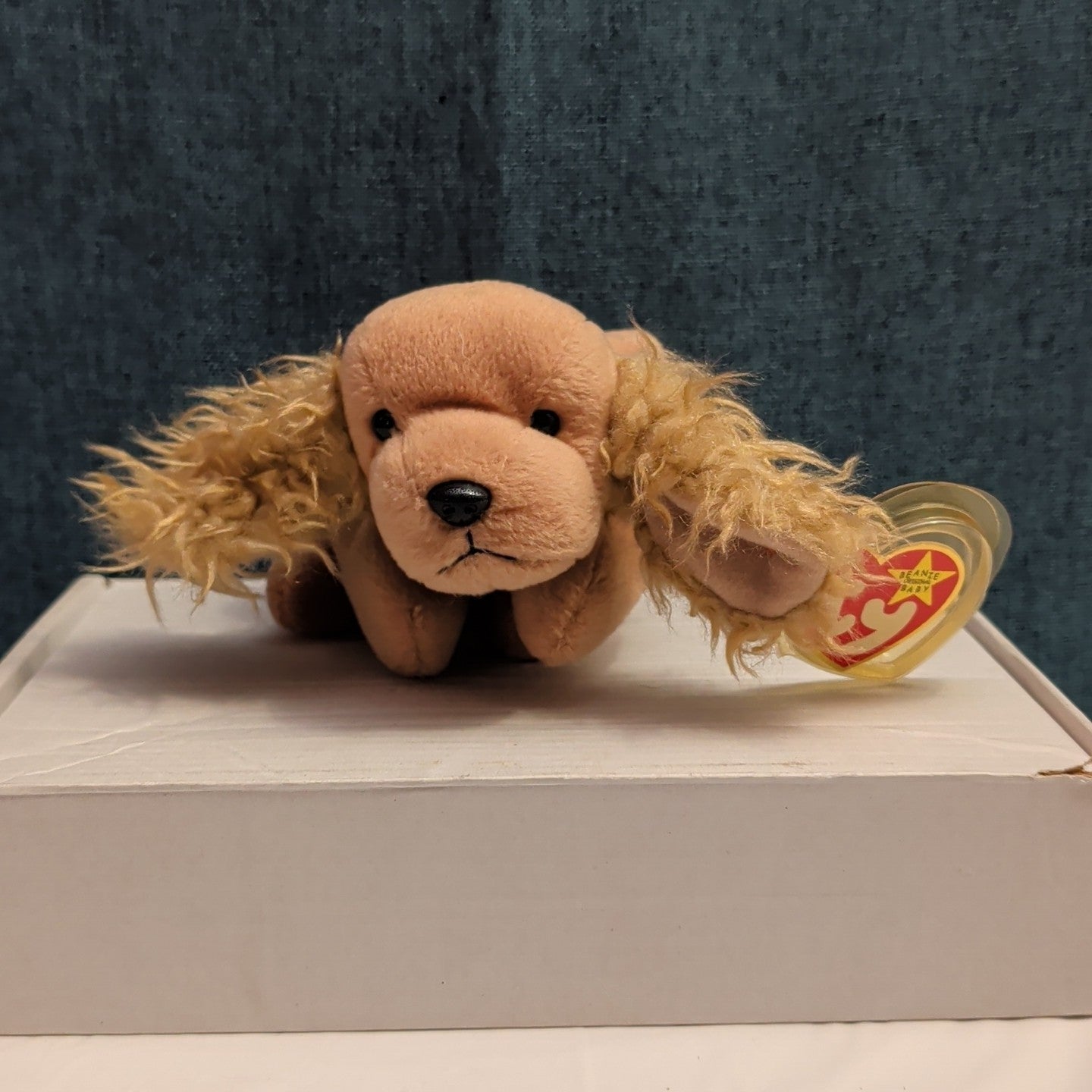 ​Ty Beanie Baby Spunky Cocker Spaniel Dog 1997 Red Star Tag Mint 008421041848