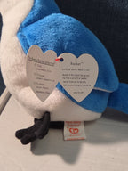 Ty Beanie Baby Rocket the Blue Jay Set Standard & Teenie Beanie 1998 NWT Bird