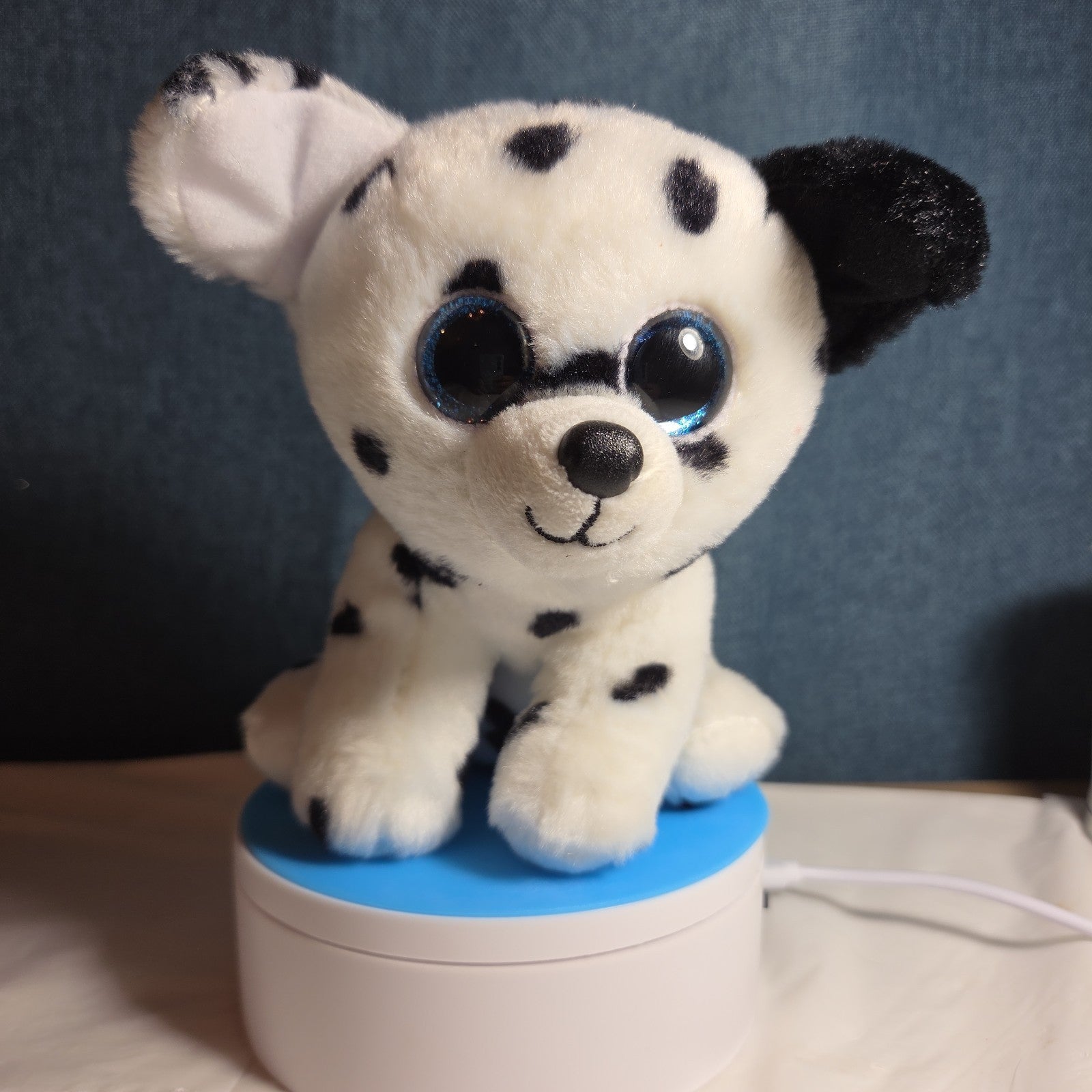 TY Beanie Boos - FETCH the Dalmatian (Solid Eye Color) (6 inch) 2011