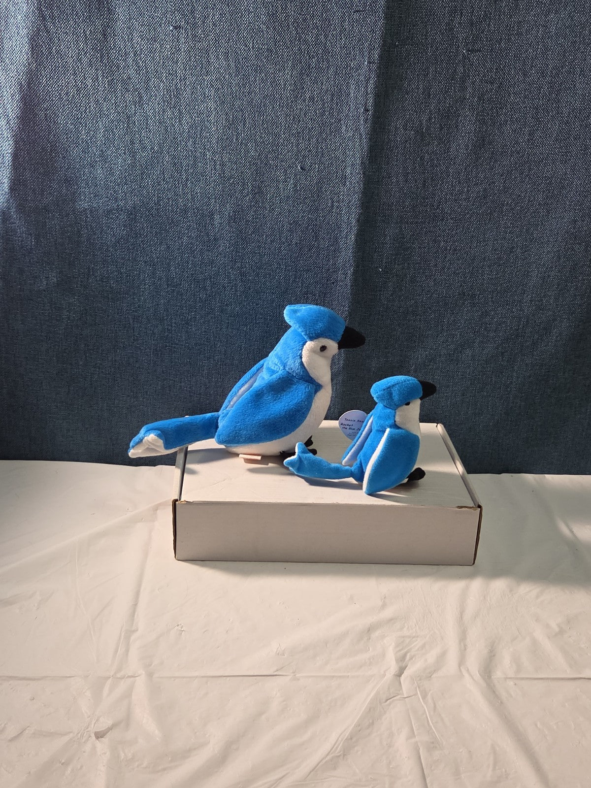Ty Beanie Baby Rocket the Blue Jay Set Standard & Teenie Beanie 1998 NWT Bird