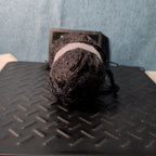 Loops & Threads Dewdrops Yarn #14 Jet Black Sequins Mohair Bulky DISCONTINUED
