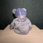 Clubby II Ty Beanie Baby 1999 Retired Official Club Bear MWMT w/ Tag Protector
