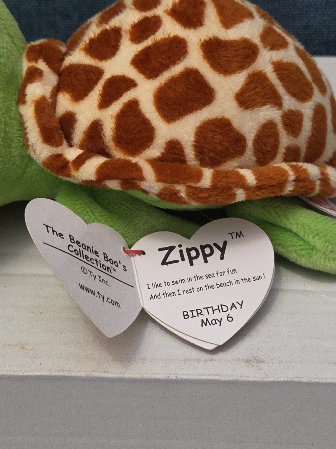 Ty Beanie Boos Zippy Green Turtle 6" Stuffed Animal Toy Gold Glitter Eyes MWMT