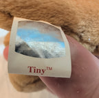 Ty Beanie Baby Tiny Chihuahua Dog Plush Vintage MWMT
