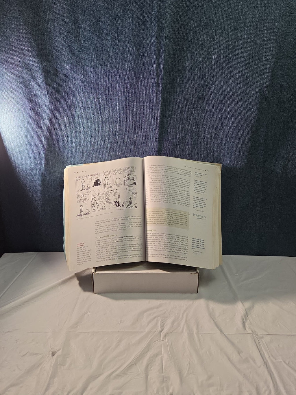 ARCHETYPES OF WISDOM: AN INTRODUCTION TO PHILOSOPHY By Douglas J. Soccio