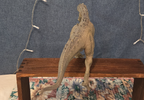 Indoraptor Realistic Dinosaur 21" Articulated Figure