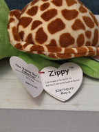 Ty Beanie Boos Zippy Green Turtle 6" Stuffed Animal Toy Gold Glitter Eyes MWMT