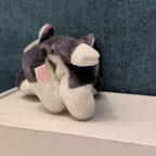 TY Beanie Baby NANOOK Husky Dog 1996 | MWMT Mint Tags | Fareham Hants Star