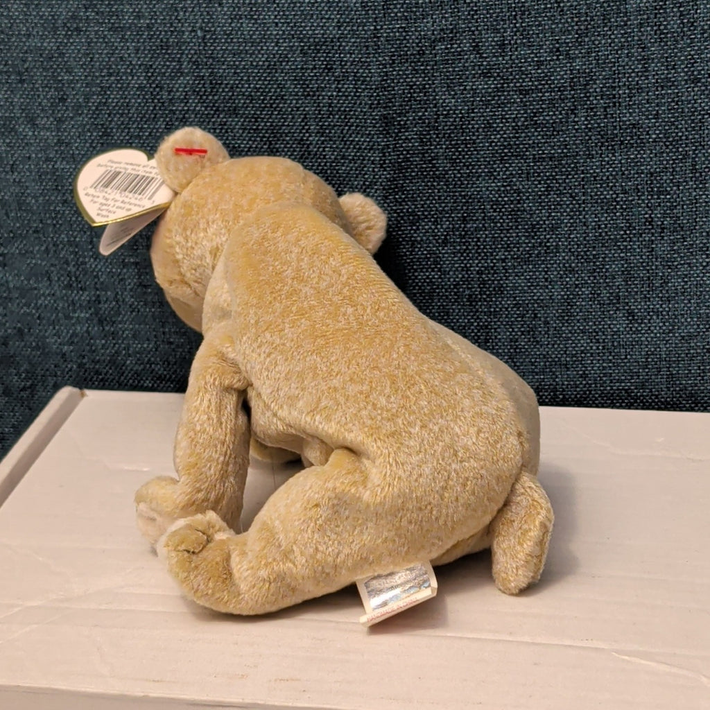 TY Beanie Baby ALMOND Beige Bear 1999 | MWMT Mint Tags | Retired Rare 7" Toy