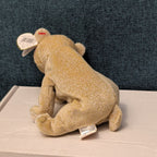 TY Beanie Baby ALMOND Beige Bear 1999 | MWMT Mint Tags | Retired Rare 7" Toy