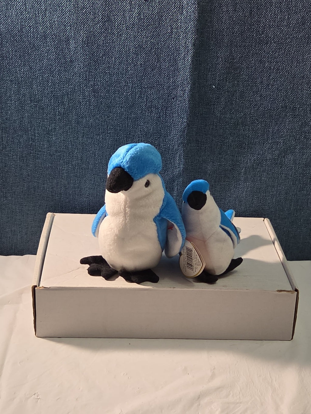 Ty Beanie Baby Rocket the Blue Jay Set Standard & Teenie Beanie 1998 NWT Bird
