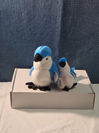 Ty Beanie Baby Rocket the Blue Jay Set Standard & Teenie Beanie 1998 NWT Bird