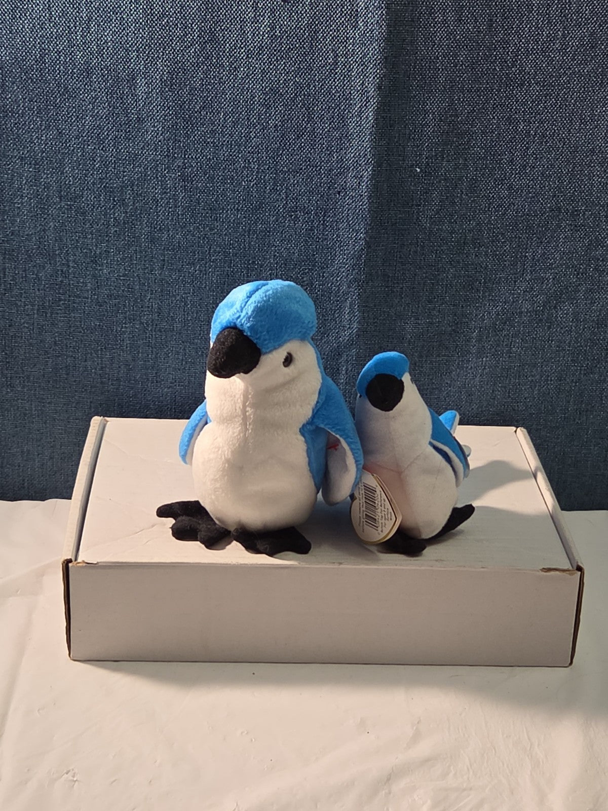 Ty Beanie Baby Rocket the Blue Jay Set Standard & Teenie Beanie 1998 NWT Bird