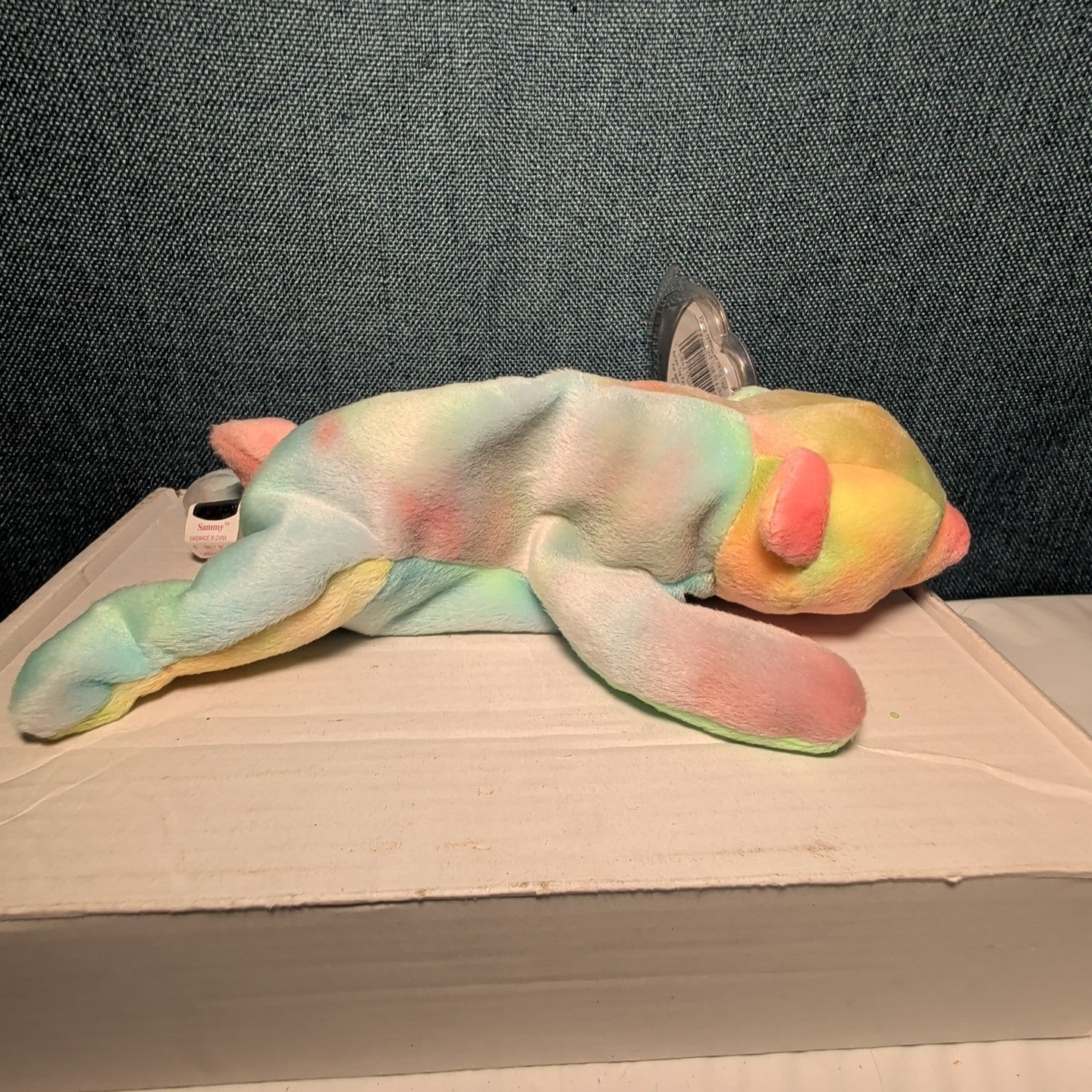 Sammy TY Beanie Baby 1999 Retired Tie-Dyed Multicolor Bear w/ Protector