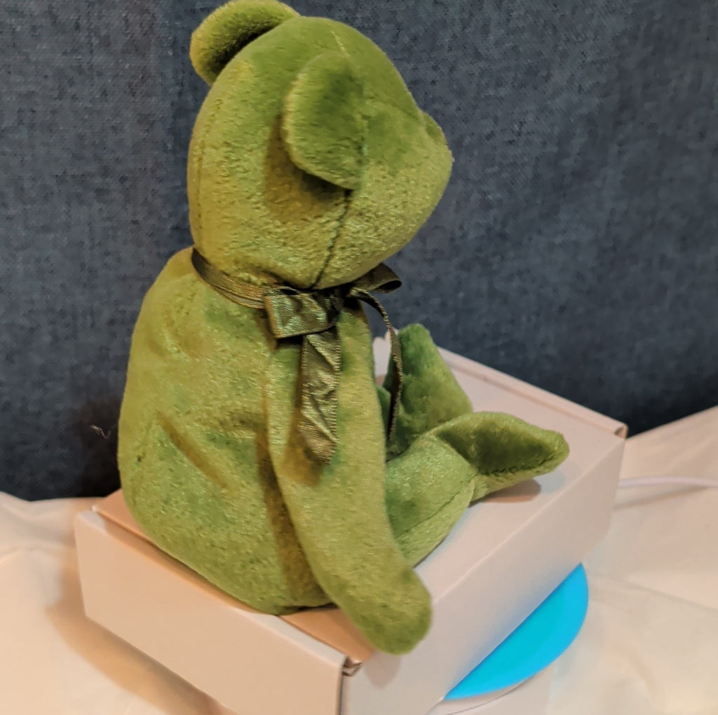 Ty Beanie Baby 2.0 Luckier the Irish Bear Green Shamrock 8" Plush