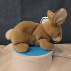 Ty Beanie Baby Nibbly Bunny Rabbit Plush 1999 NWT Hard Tag Protector