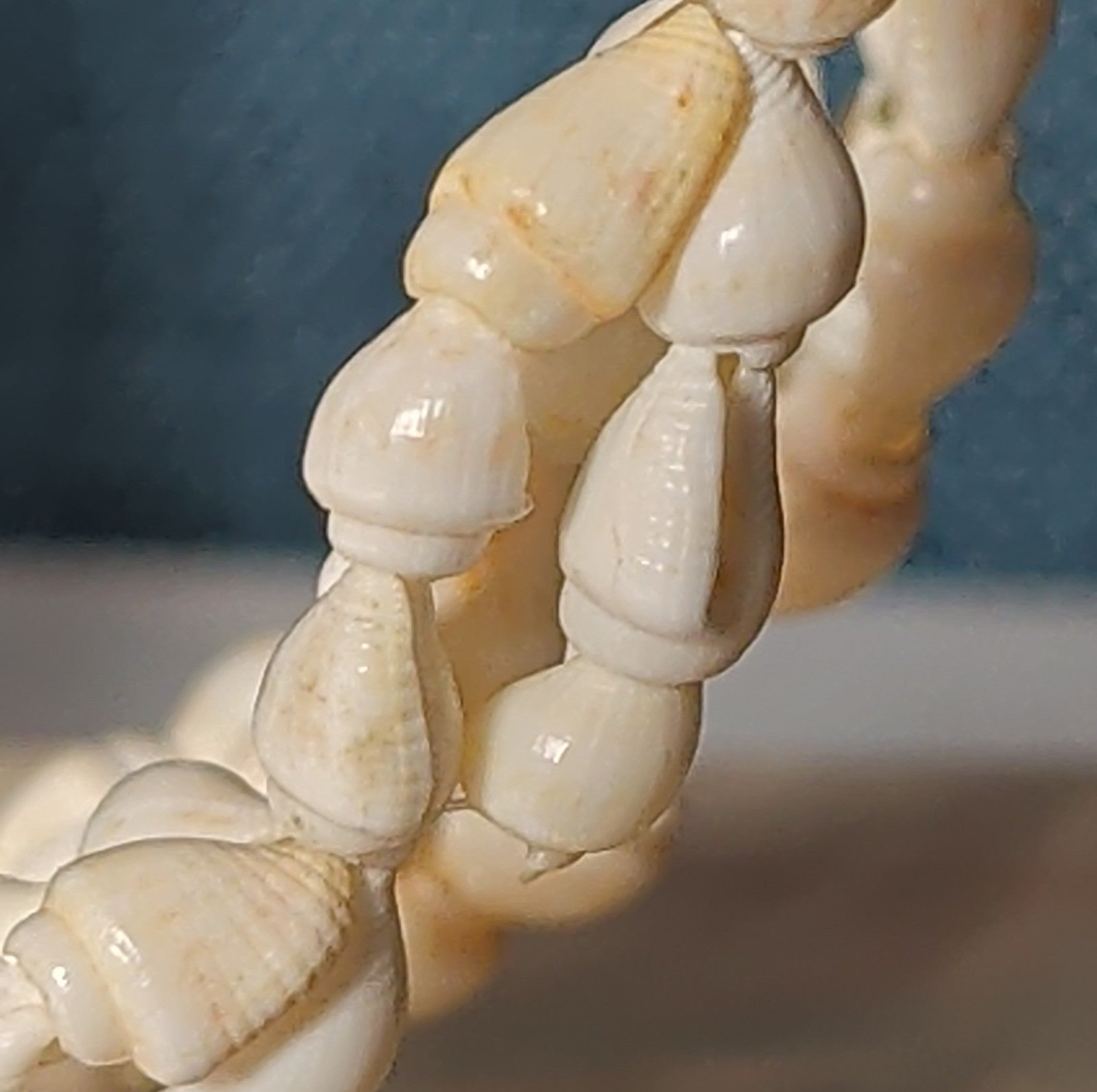 Hawaiian Woven Shell Lei Long Necklace Boho Beach