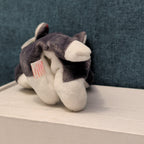 TY Beanie Baby NANOOK Husky Dog 1996 | MWMT Mint Tags | Fareham Hants Star