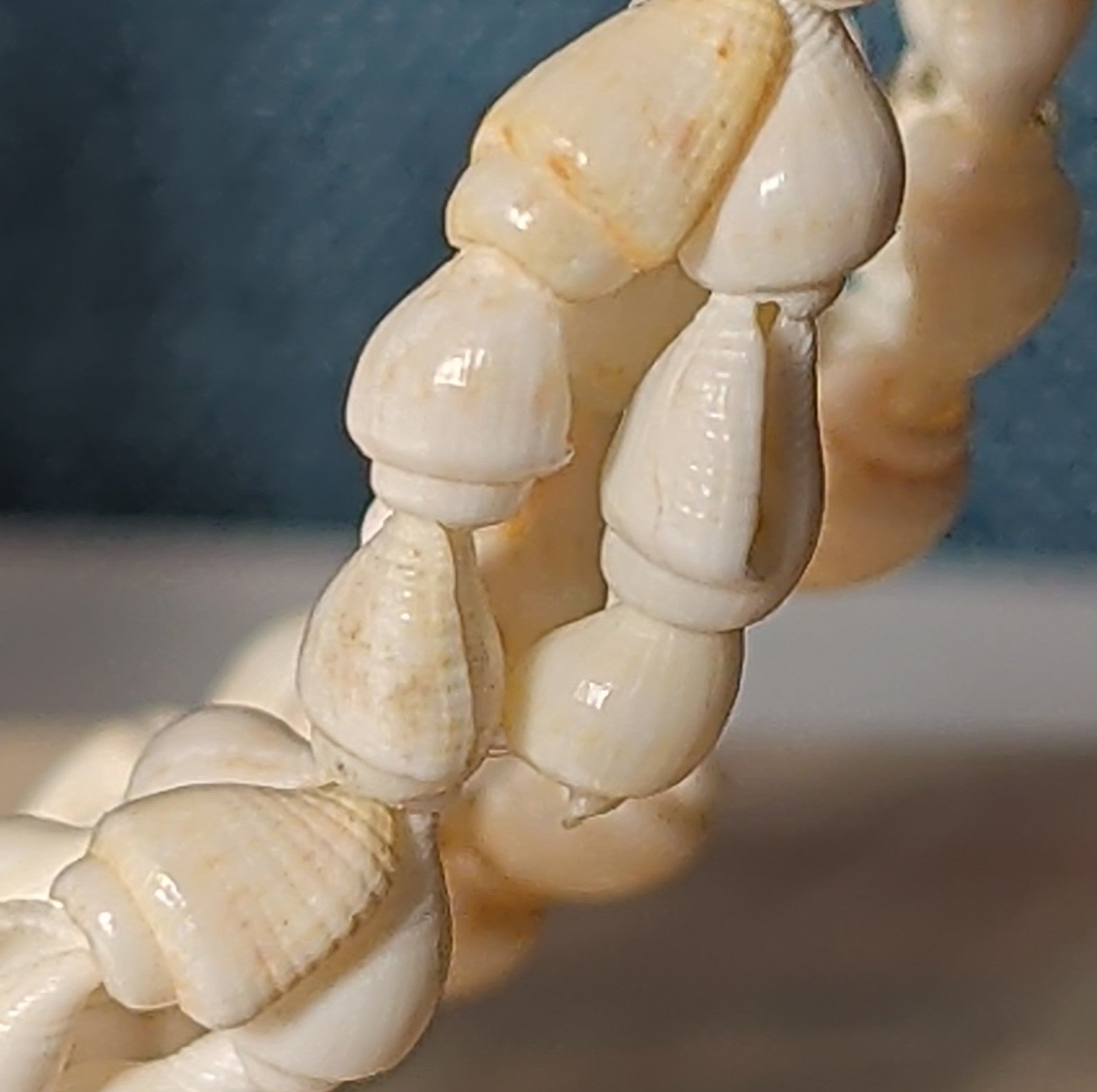 Hawaiian Woven Shell Lei Long Necklace Boho Beach