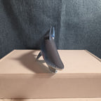 Fun Express Rubber Shark Toy Figure IN1963 Blue Gills Marine Life