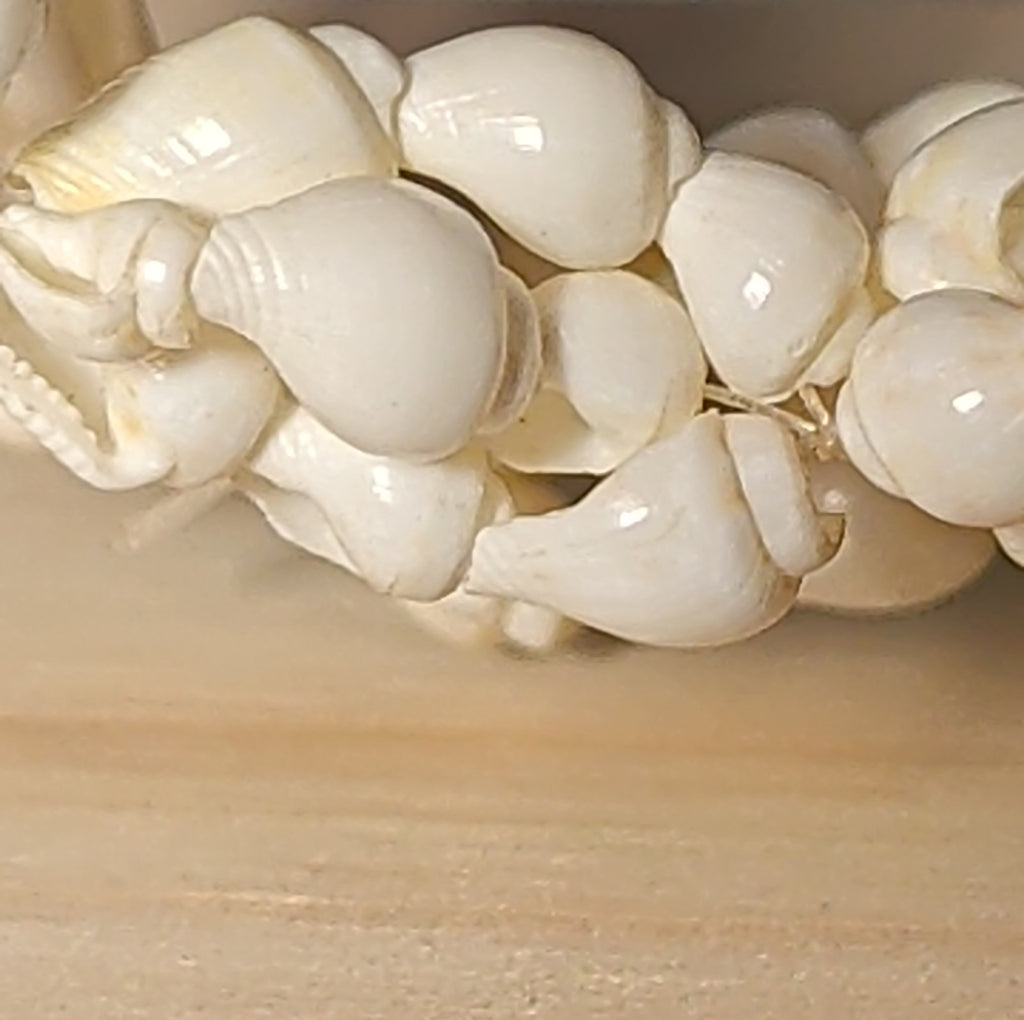 Hawaiian Woven Shell Lei Long Necklace Boho Beach
