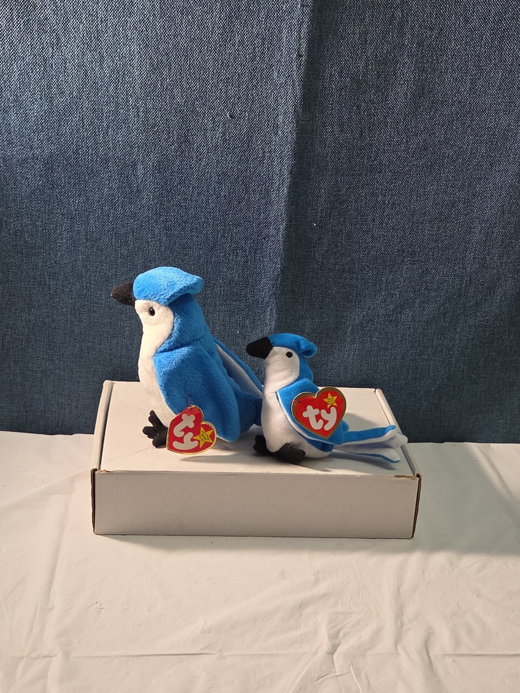 Ty Beanie Baby Rocket the Blue Jay Set Standard & Teenie Beanie 1998 NWT Bird