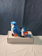 Ty Beanie Baby Rocket the Blue Jay Set Standard & Teenie Beanie 1998 NWT Bird