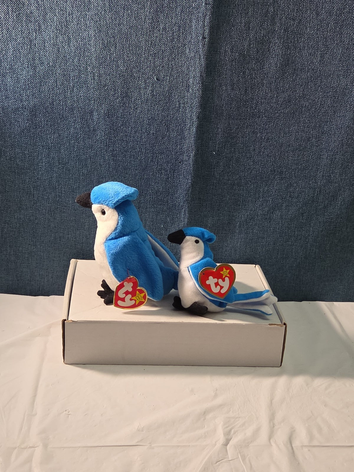 Ty Beanie Baby Rocket the Blue Jay Set Standard & Teenie Beanie 1998 NWT Bird
