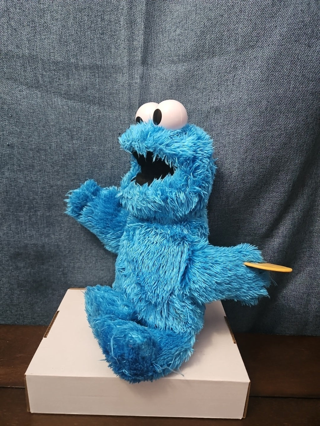 Sesame Street Cookie Monster Plush | 10” Hasbro Talking Figure with Cookie