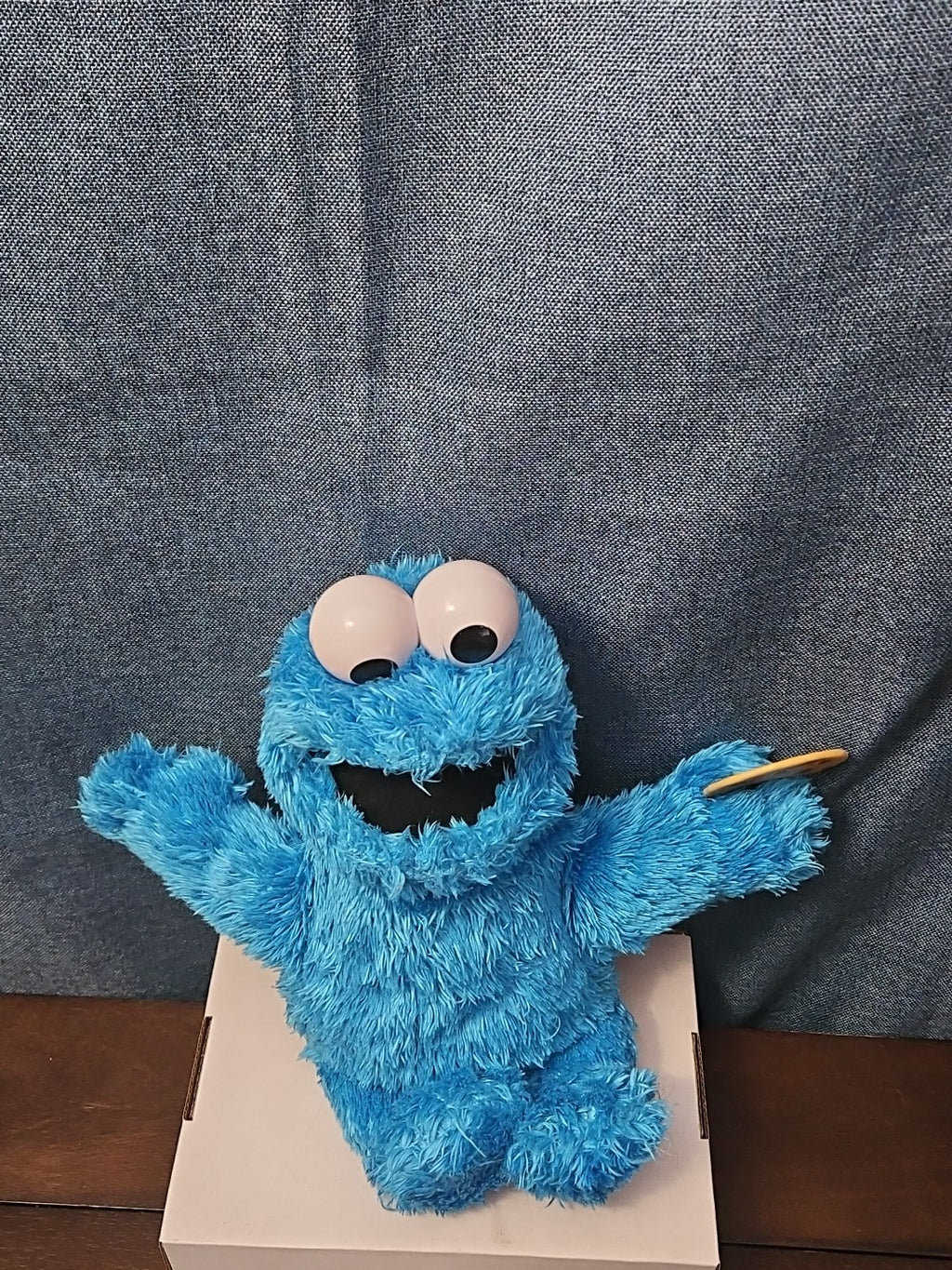 Sesame Street Cookie Monster Plush | 10” Hasbro Talking Figure with Cookie