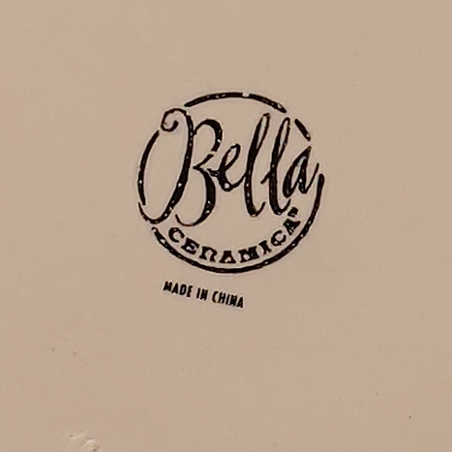 Bella Ceramica ALFRESCO FRUIT Dinner Plates | 10.75" Hand Painted | Set of 7