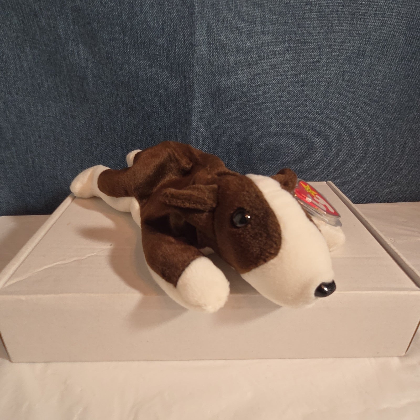 Ty Beanie Baby Bruno Dog Plush Vintage 1997 Bull Terrier Tags Protected