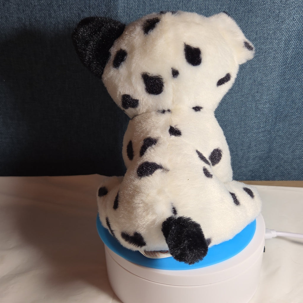 TY Beanie Boos - FETCH the Dalmatian (Solid Eye Color) (6 inch) 2011