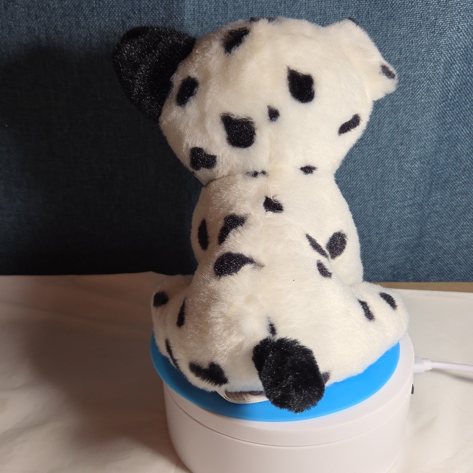 TY Beanie Boos - FETCH the Dalmatian (Solid Eye Color) (6 inch) 2011