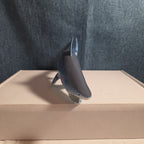 Fun Express Rubber Shark Toy Figure IN1963 Blue Gills Marine Life
