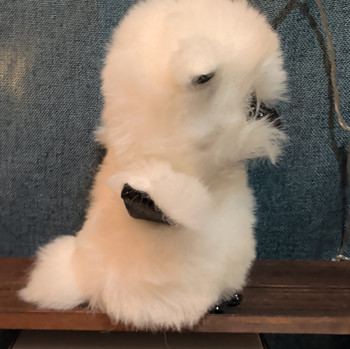 TY Beanie Boos Austin White Owl 6" Plush Gold Eyes Kawaii MWMTs