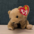 TY Beanie Baby ALMOND Beige Bear 1999 | MWMT Mint Tags | Retired Rare 7" Toy