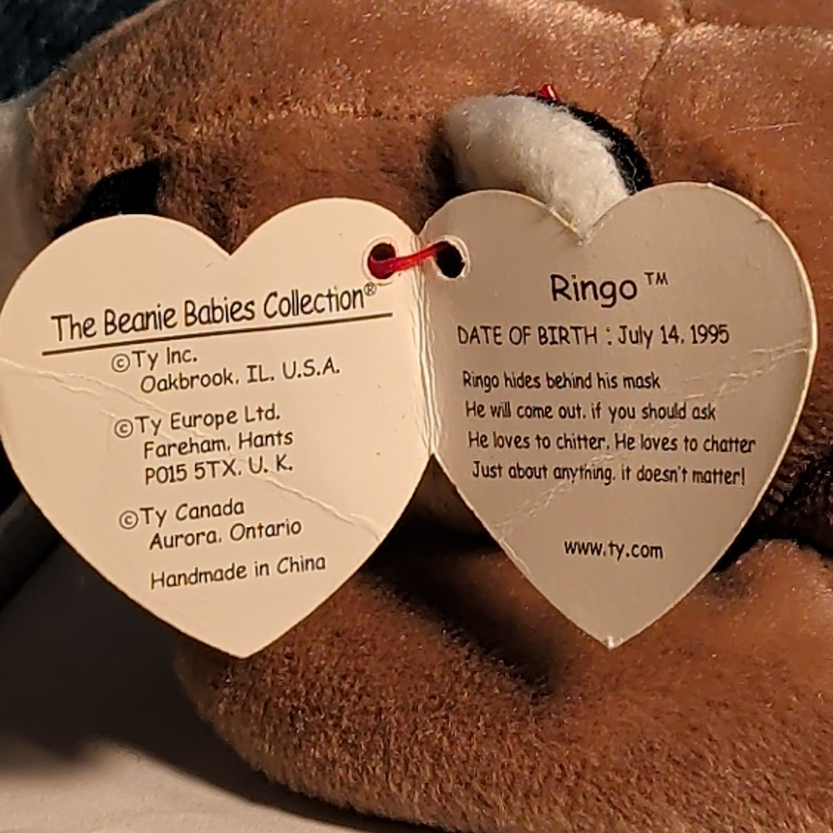 Ty Beanie Baby Ringo - MWMT (Raccoon 1995)